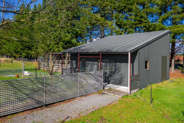 53 Guernsey Road Renwick_13