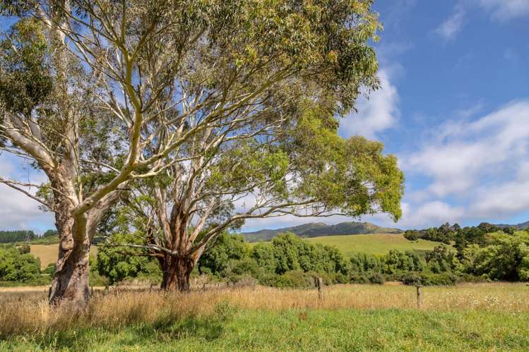 89 Hinau Gully Road Carterton_6