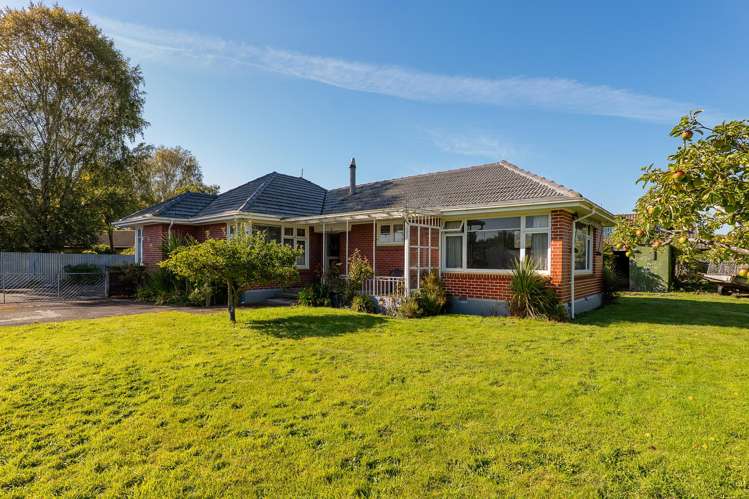 35B Winters Road Redwood_6