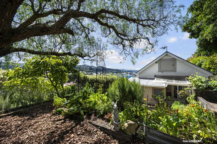 5 Princess Street Newtown_9