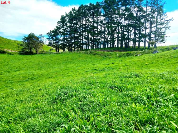 Lots 1,3,4 Te Rore Road Kaitaia_6