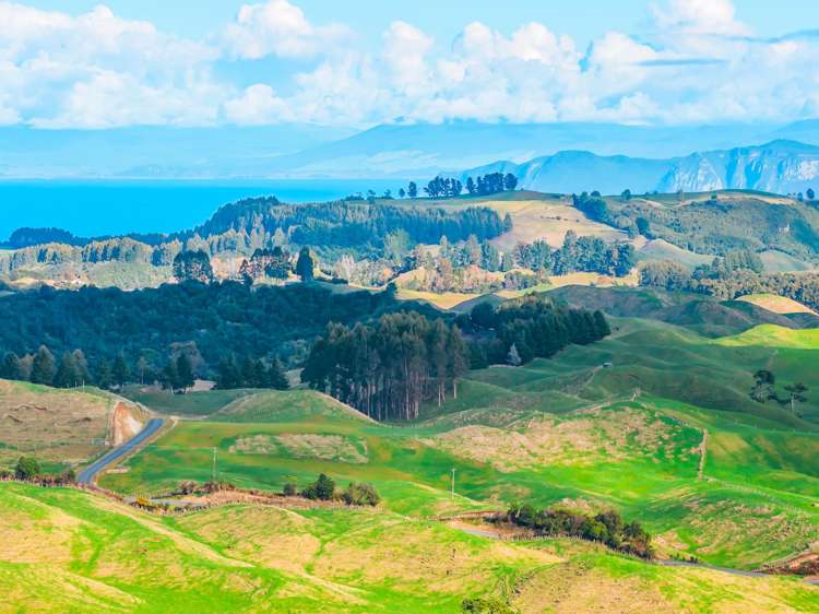 473 Otake Road Marotiri_12