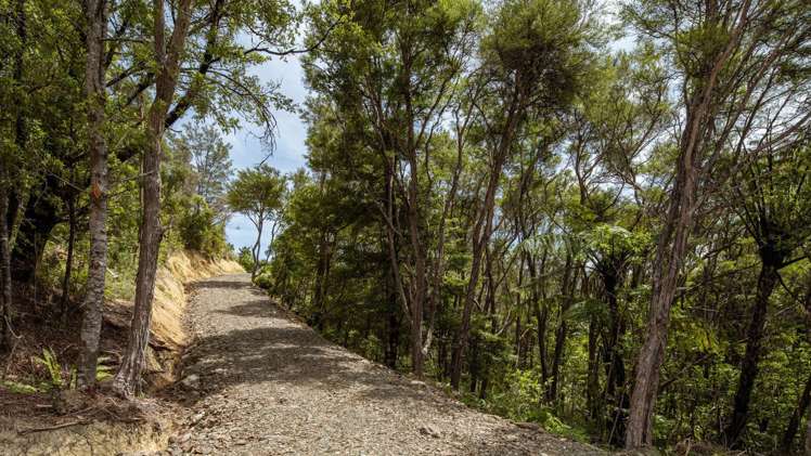 Lot 1 Croisilles-French Pass Road Okiwi Bay_11