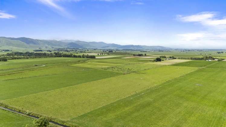 145 Campbells Road Opiki_5