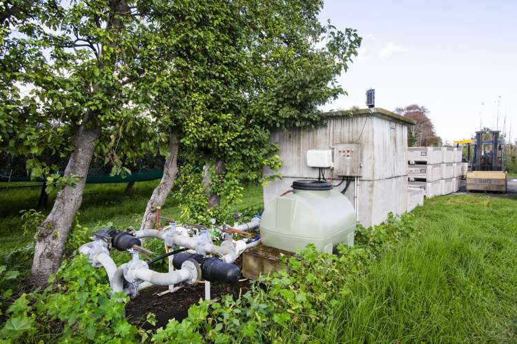 590 Matawai Road Waerengaahika_7