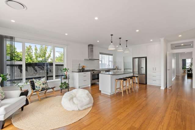 21 Ross Street Kilbirnie_4