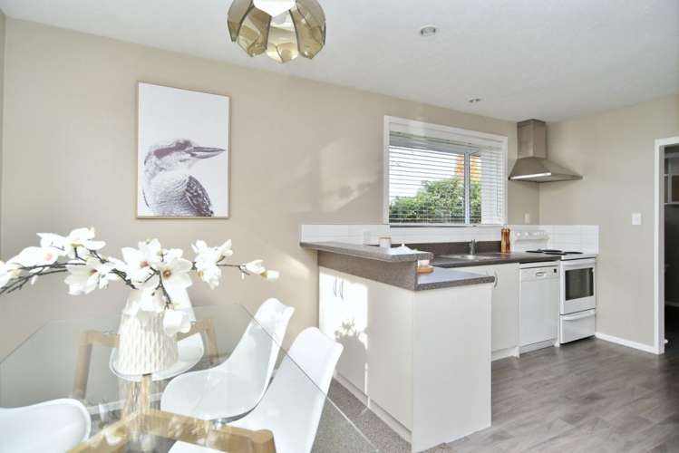 35 Trevor Street Hornby_5