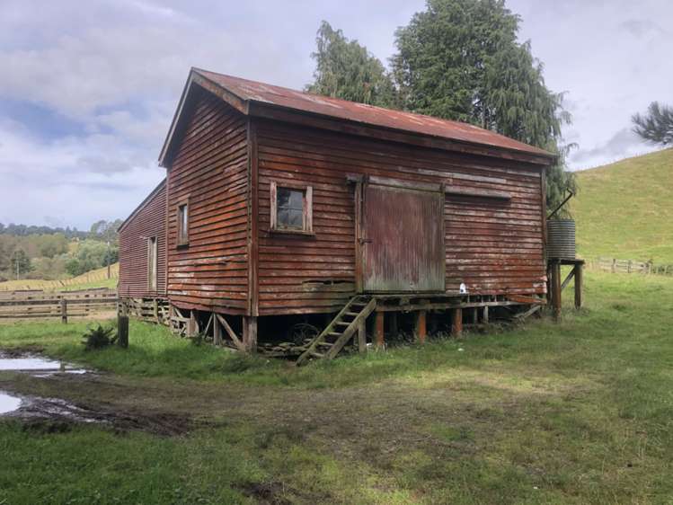 Kaitieke Road Owhango_19