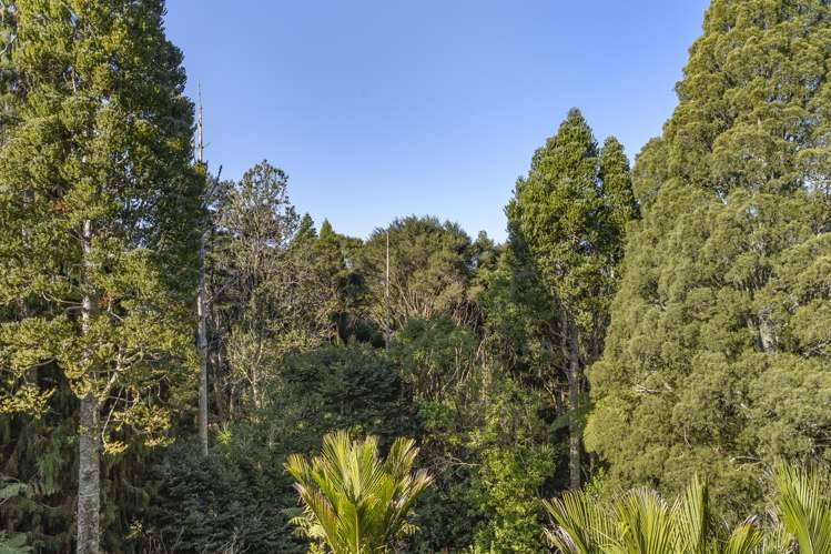 200 Godley Road Titirangi_28