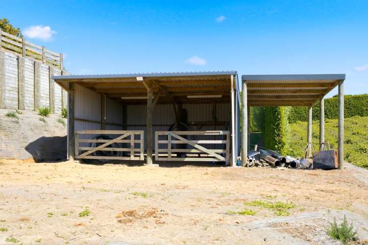 374 Youngson Road Whakamarama_22