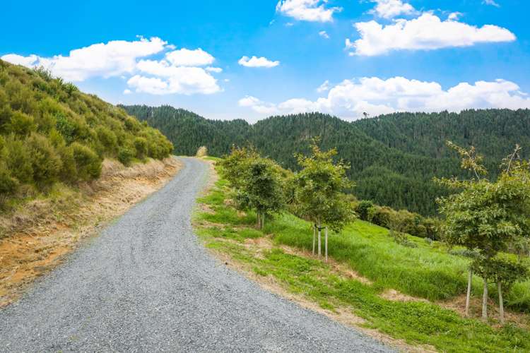 960C Whangaripo Valley Road Whangaripo_7