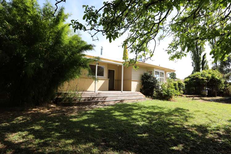 40 Alma Street Renwick_15