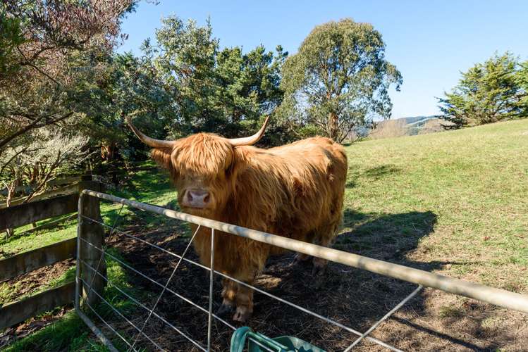 64 Killalea Place Paraparaumu_6