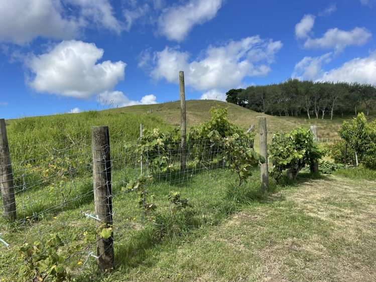 852 Oneriri Road Kaiwaka_27