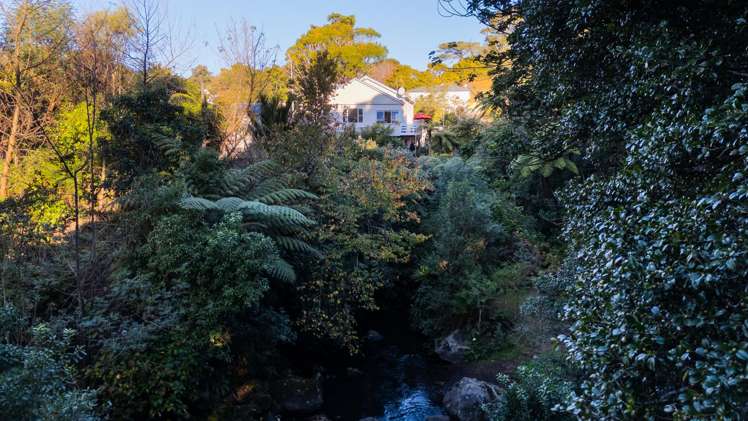 28 Carrington Street New Plymouth Central_27