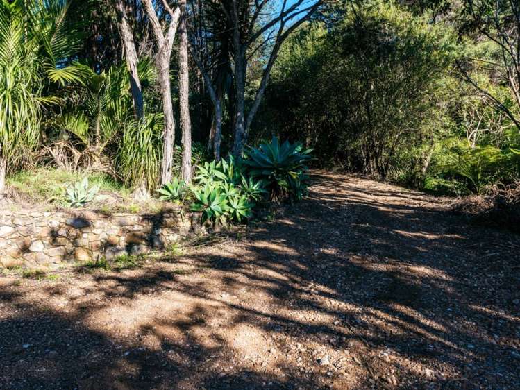 55 Te Toki Road Ostend_17