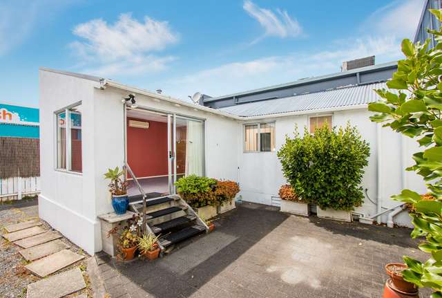 359 Great North Road Grey Lynn_1