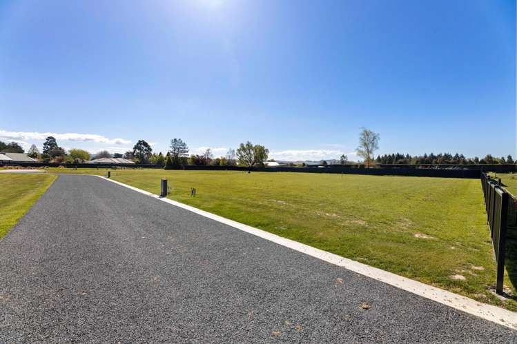 Constitution Avenue_5