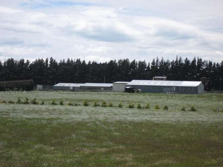 59 Lorne Dacre Road Lorneville_10