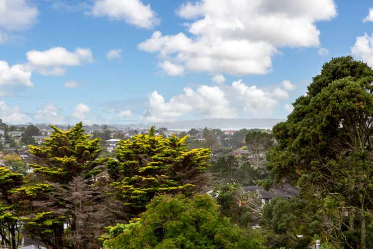 51 Carlisle Road Torbay_5