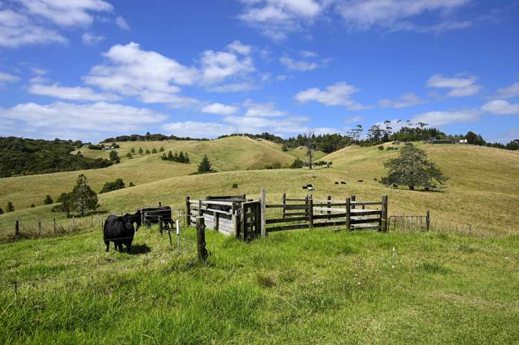 512 Kanohi Road Kaukapakapa_32