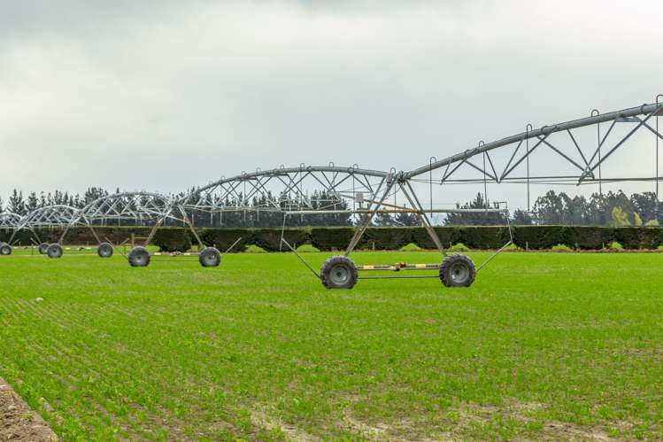 684 Telegraph Road Selwyn_6