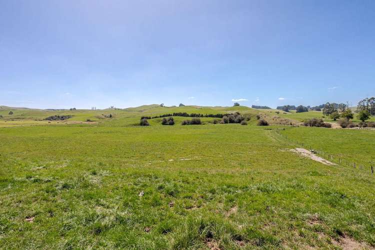 61 Church Road Dannevirke_6