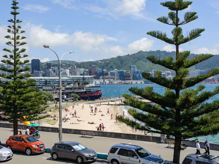 2a/172 Oriental Parade Oriental Bay_2