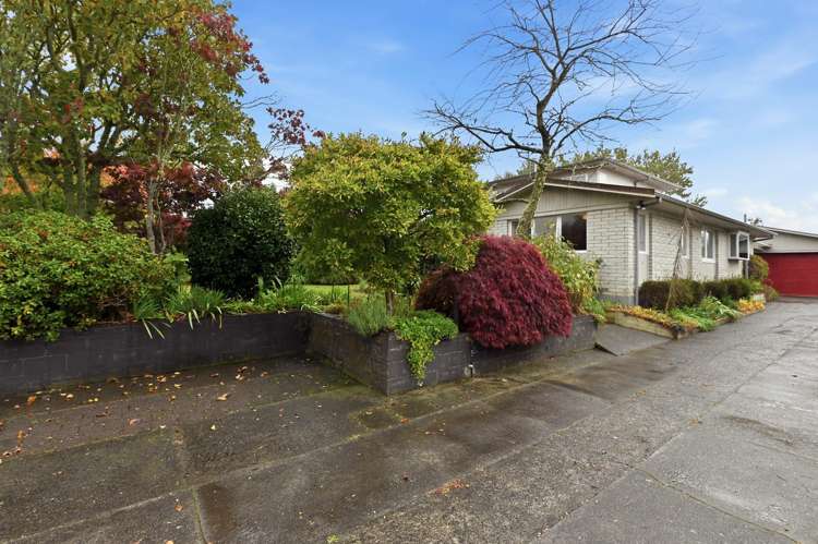 3 Solly Place Springfield_19