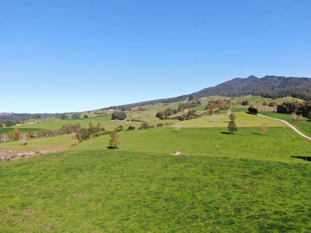 480 O'Shea Road Pirongia_4