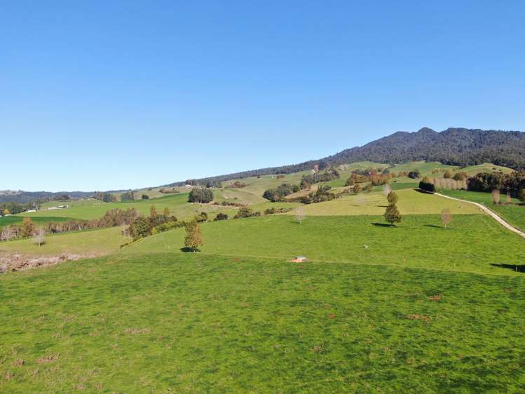 480 O'Shea Road Pirongia_4