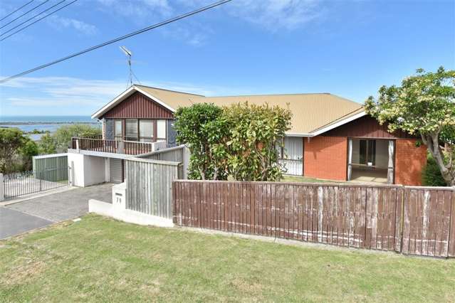 79 Major Hornbrook Road Mount Pleasant_3