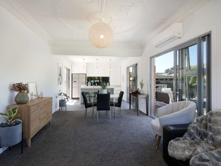 227a Forbury Road Saint Clair_6