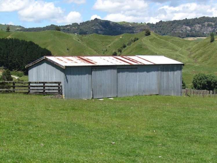 1815 Mokauiti Road Aria_9