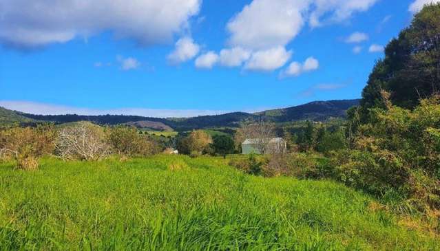 Wekaweka Road Waimamaku_4