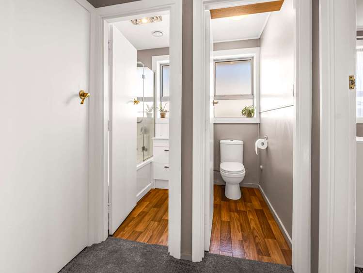 101 Trevors Road Hampstead_14