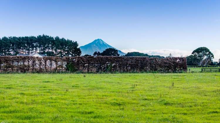 84 Mawhitiwhiti Road Normanby_12