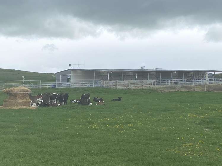 224 Auripo Road Poolburn_14