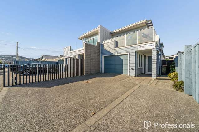 6A Nelson Street Petone_3