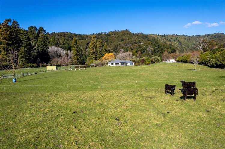 18 Hillwood Drive Wakapuaka_5