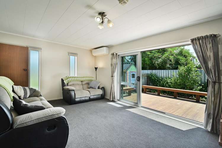 410 Hemi Street Raureka_6