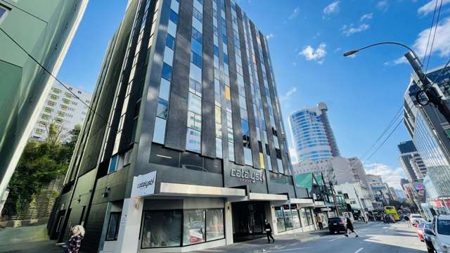 Level 5/150 Willis Street Te Aro_1