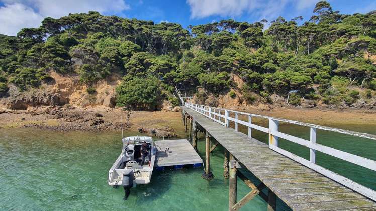 Lot 171/DP6849 North Cove Kawau Island_6