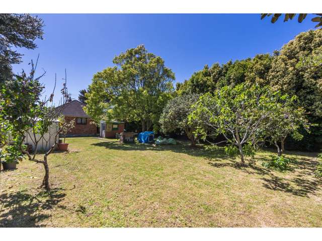 12 Chippendale Crescent Birkdale_2