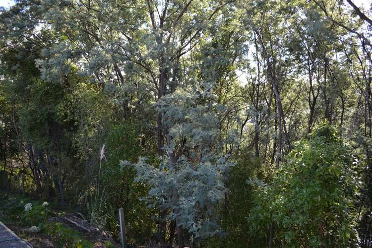 84 Rue Balguerie Akaroa_8