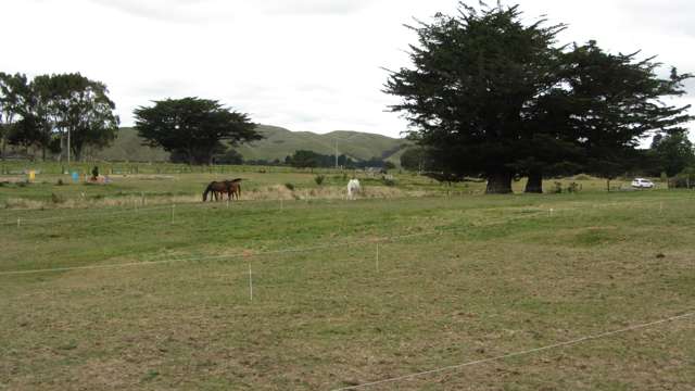 29 Cullen Street Eketahuna_4