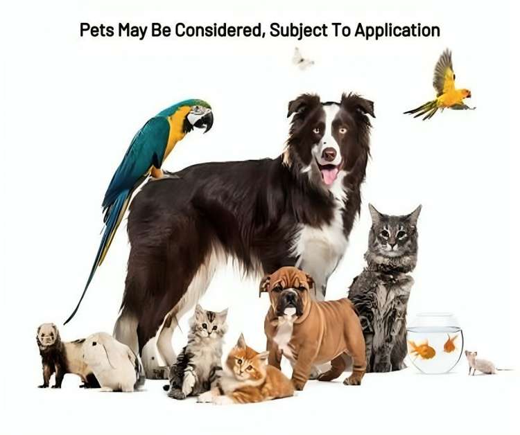 9 Bickleigh Grove New Lynn_23