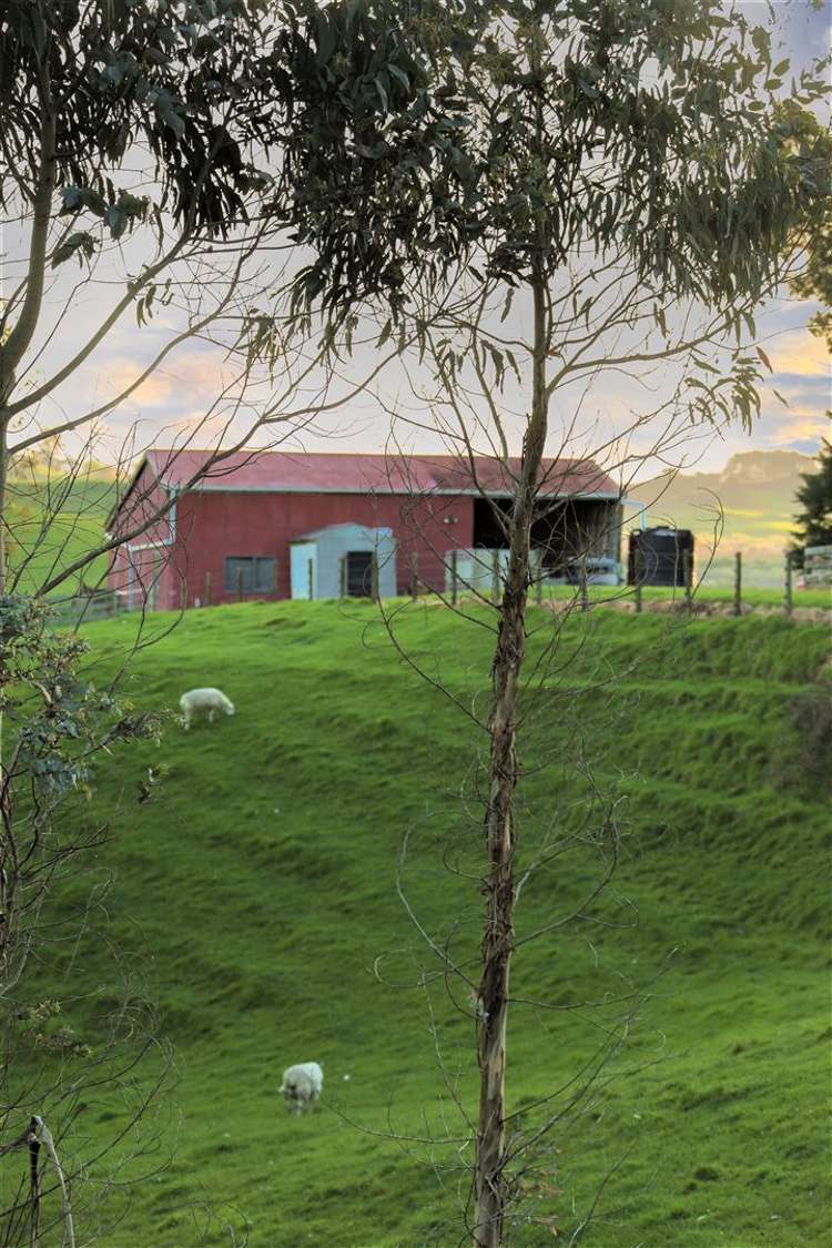 91 Churchill Road Rangiriri_34