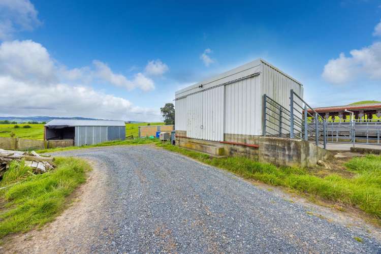 740D Tainui Road Hoe-o-tainui_12