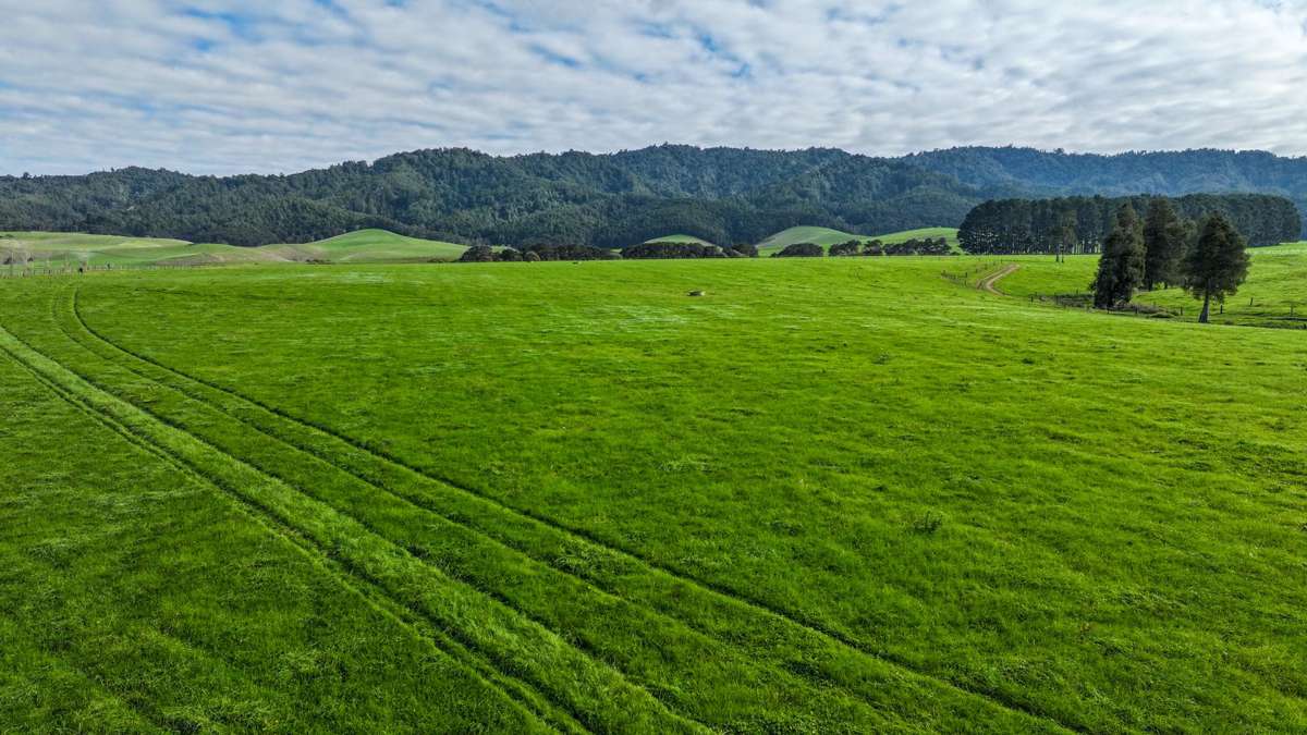 976 Kaiaua Road_3